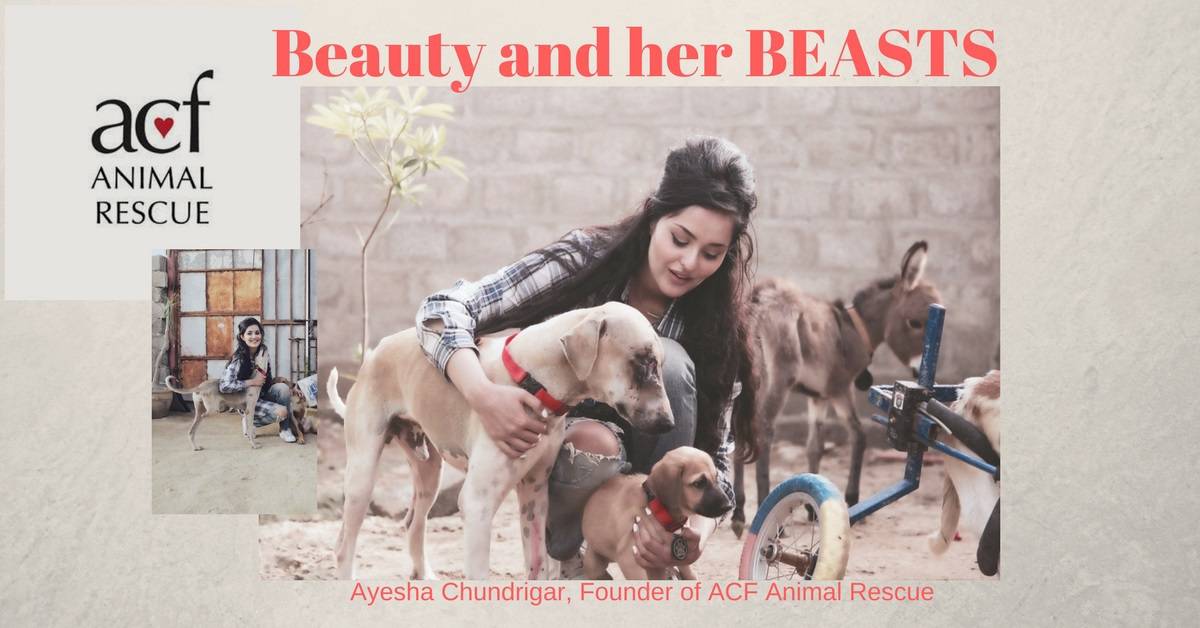 Beauty and her BEASTS, Ayesha Chundrigar SAVES Animals
