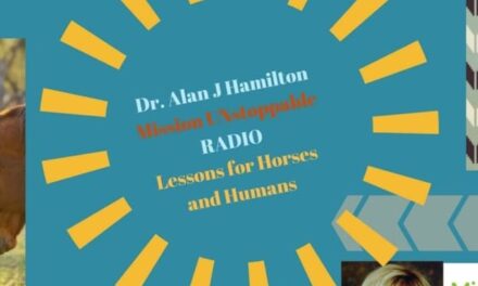 If Horses Could Talk – Lead with your Heart