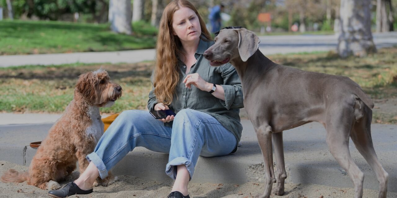 Movies with Meaning, by Brent Marchant, TGMN Movie Correspondent