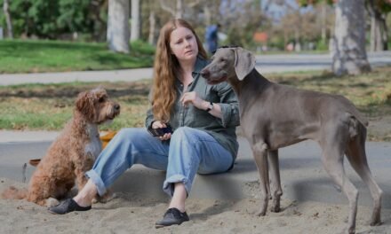 Movies with Meaning, by Brent Marchant, TGMN Movie Correspondent