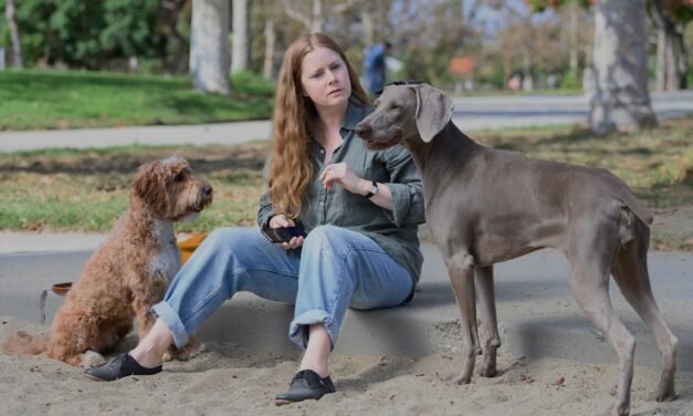 Movies with Meaning, by Brent Marchant, TGMN Movie Correspondent