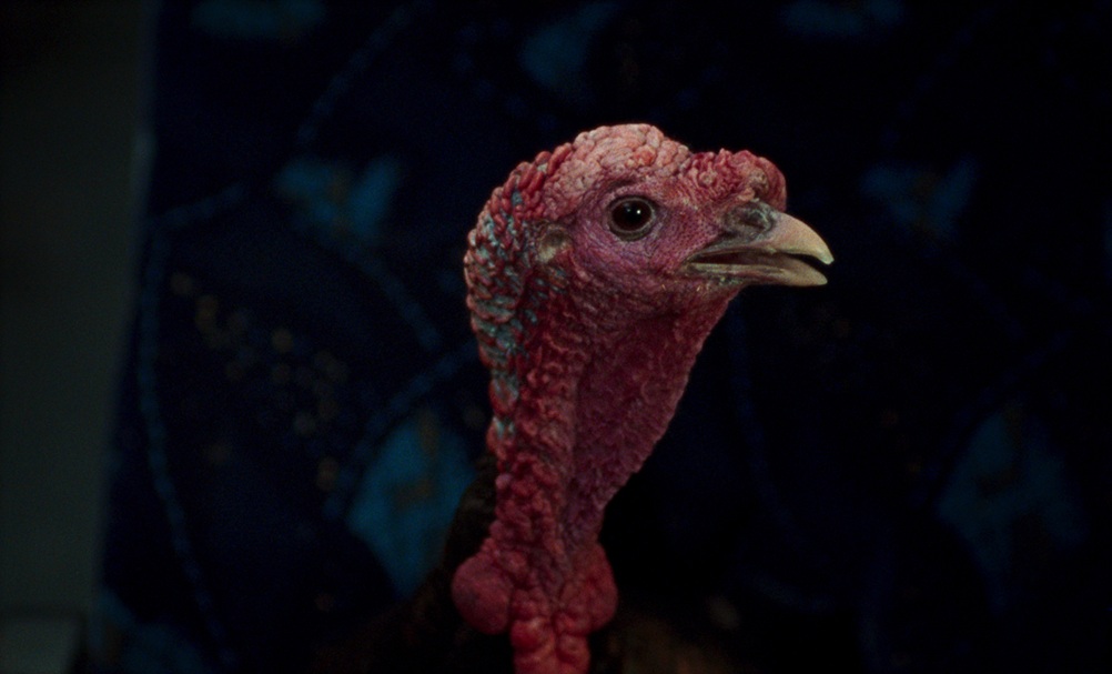 Movies with Meaning, by Brent Marchant, TGMN Movie Correspondent