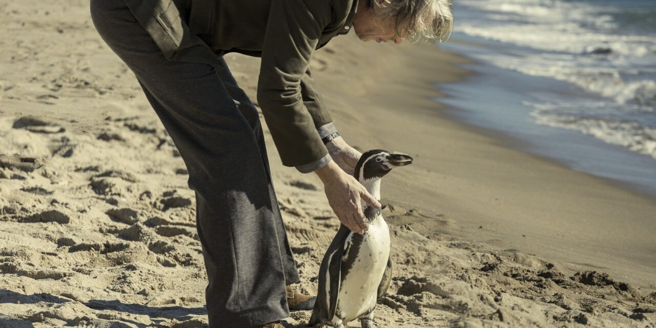 Movies with Meaning, by Brent Marchant, TGMN Movie Correspondent